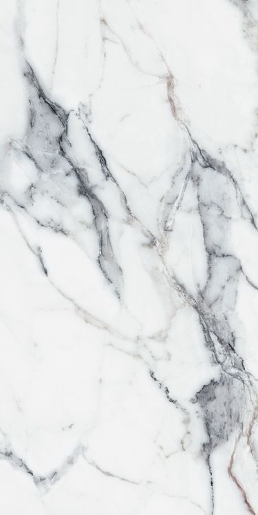 Origines Argent Matte 24 x 48